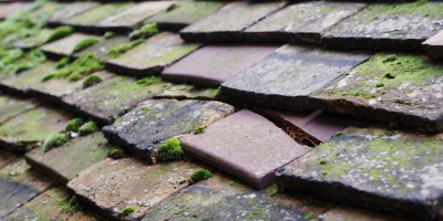 Epping roof repair costs